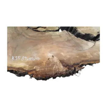 Plaster Kasztanowca 85x83x10cm