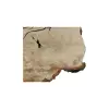 Plaster Kasztanowca 93x68x10cm