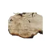 Plaster Kasztanowca 93x68x10cm
