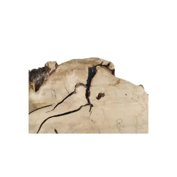 Plaster Kasztanowca 93x68x10cm