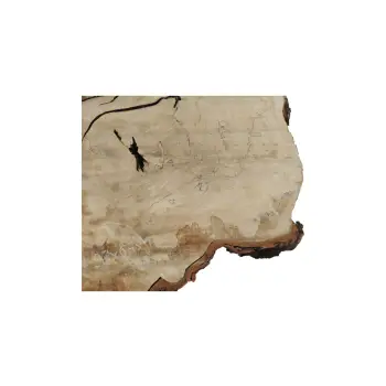 Plaster Kasztanowca 93x68x10cm