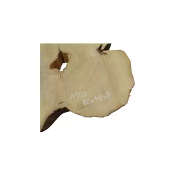 Plaster Akacji 60x48x7cm