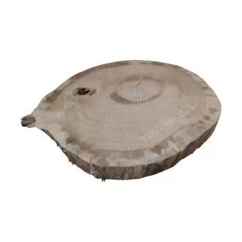Plaster Dębowy 47x41x5cm Dąb