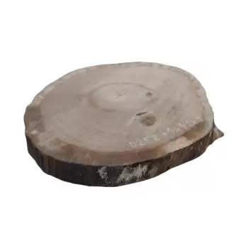 Plaster Dębowy 44x42x5cm Dąb