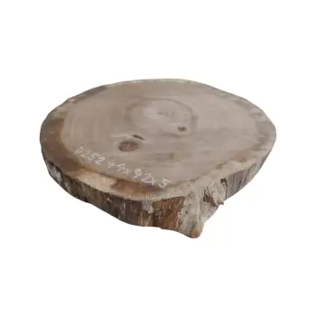 Plaster Dębowy 44x42x5cm Dąb