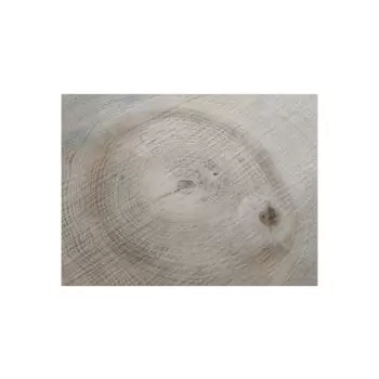 Plaster Dębowy 44x42x5cm Dąb