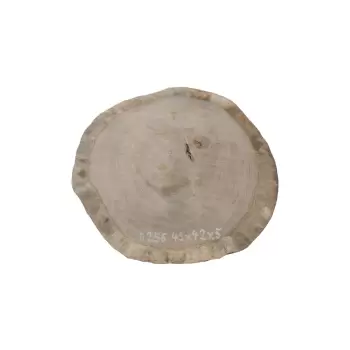 Plaster Dębowy 45x42x5cm Dąb