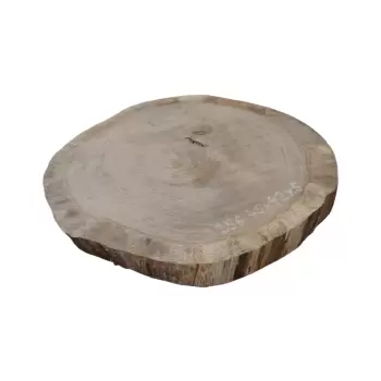 Plaster Dębowy 45x42x5cm Dąb