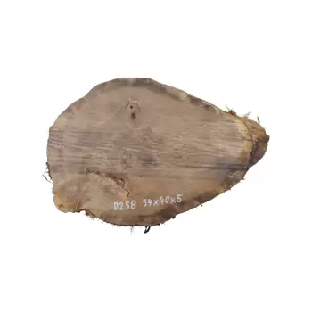 Plaster Dębowy 54x40x5cm Dąb