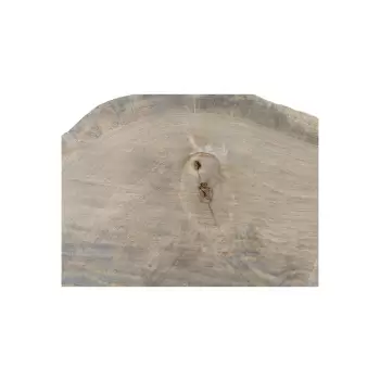 Plaster Dębowy 54x40x5cm Dąb