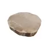 Plaster Dębowy 38x36x5cm Dąb