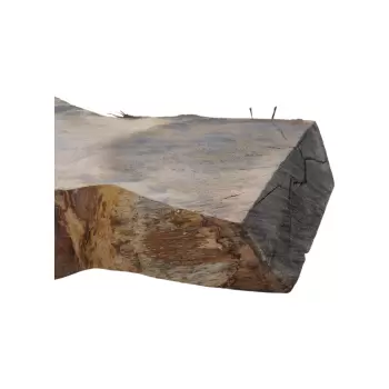 Plaster Dębowy 69x38x5cm Dąb