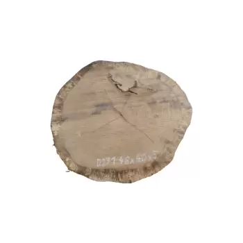 Plaster Dębowy 46x40x5cm Dąb