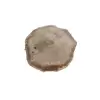 Plaster Dębowy 40x38x5cm Dąb