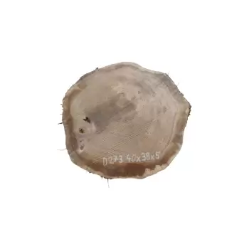 Plaster Dębowy 40x38x5cm Dąb