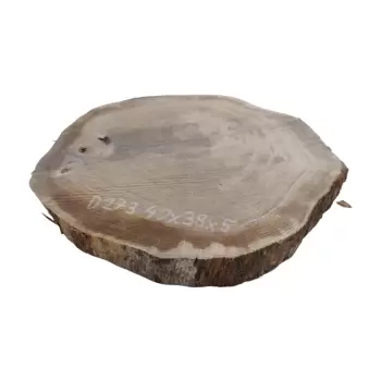 Plaster Dębowy 40x38x5cm Dąb