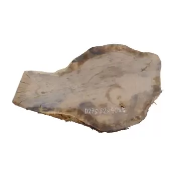 Plaster Dębowy 62x40x5cm Dąb