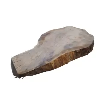 Plaster Dębowy 62x40x5cm Dąb