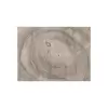 Plaster Orzecha Włoskiego 57x49x8cm