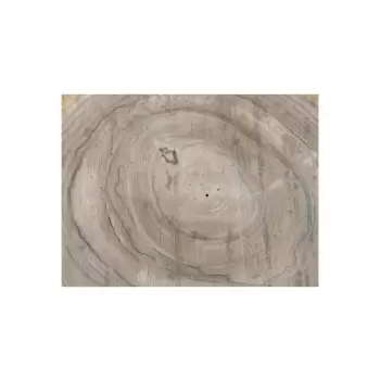 Plaster Orzecha Włoskiego 57x49x8cm