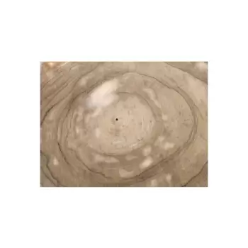 Plaster Orzecha Włoskiego 55x47x7cm