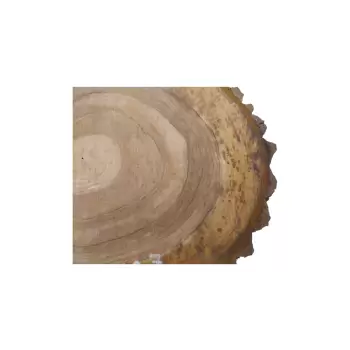 Plaster Orzecha Włoskiego 55x46x7cm