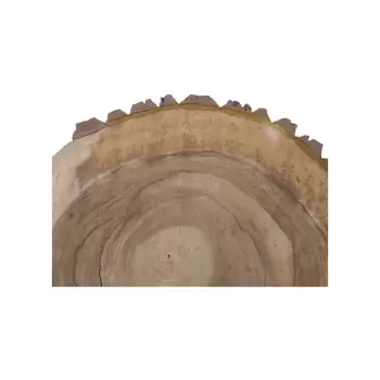 Plaster Orzecha Włoskiego 55x46x7cm