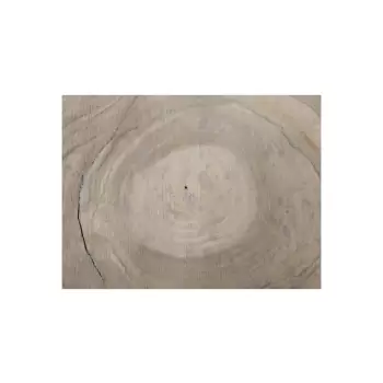 Plaster Orzecha Włoskiego 55x46x7cm
