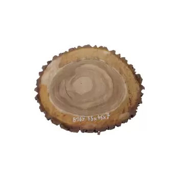 Plaster Orzecha Włoskiego 55x46x7cm