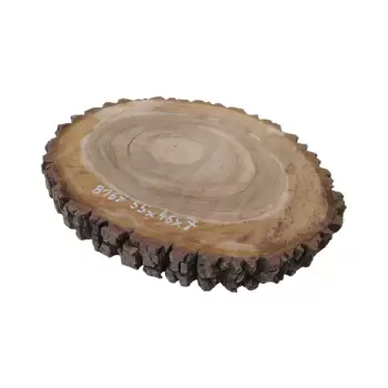 Plaster Orzecha Włoskiego 55x46x7cm