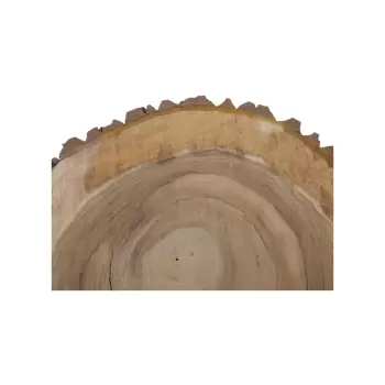 Plaster Orzecha Włoskiego 55x46x7cm