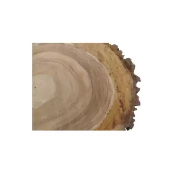 Plaster Orzecha Włoskiego 55x46x7cm