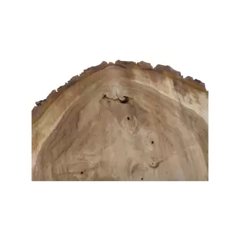 Plaster Orzecha Włoskiego 55x49x7cm