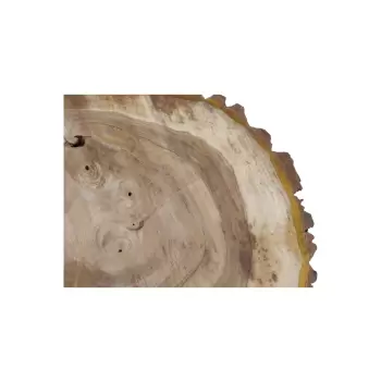 Plaster Orzecha Włoskiego 55x49x7cm