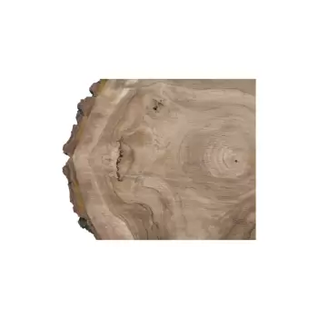 Plaster Orzecha Włoskiego 54x50x7cm