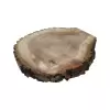 Plaster Orzecha Włoskiego 53x49x7cm