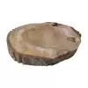 Plaster Orzecha Włoskiego 45x42x6cm