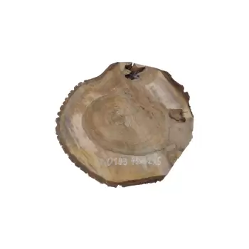 Plaster Orzecha Włoskiego 45x42x6cm
