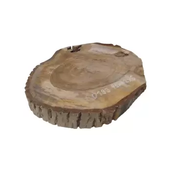 Plaster Orzecha Włoskiego 45x42x6cm
