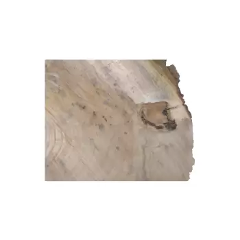 Plaster Orzecha Włoskiego 45x42x6cm