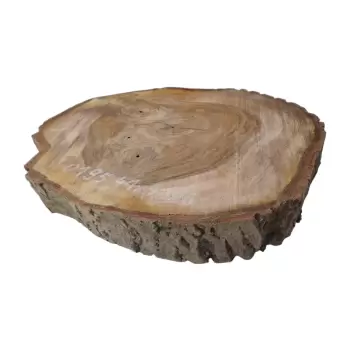 Plaster Orzecha Włoskiego 41x41x6cm