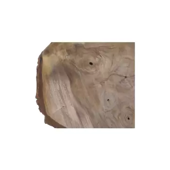 Plaster Orzecha Włoskiego 41x41x6cm