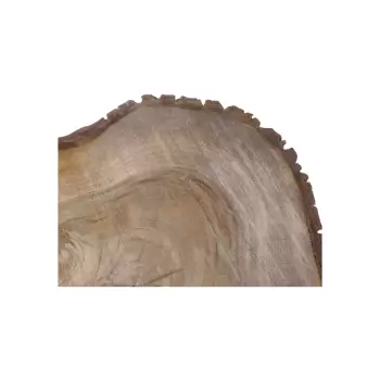 Plaster Orzecha Włoskiego 41x41x6cm