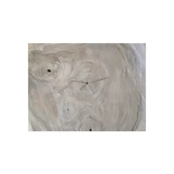 Plaster Orzecha Włoskiego 41x41x6cm