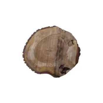 Plaster Orzecha Włoskiego 44x42x6cm