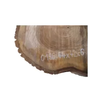 Plaster Orzecha Włoskiego 44x42x6cm