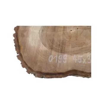 Plaster Orzecha Włoskiego 45x38x6cm