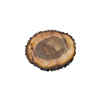 Plaster Orzecha Włoskiego po Suszarni 67x58x9cm