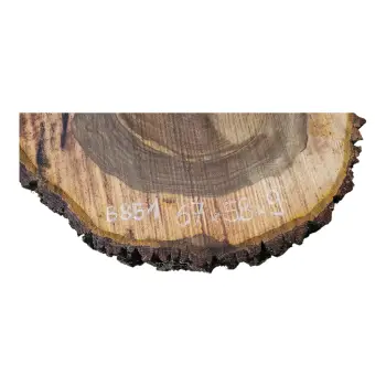 Plaster Orzecha Włoskiego po Suszarni 67x58x9cm