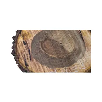 Plaster Orzecha Włoskiego po Suszarni 67x58x9cm